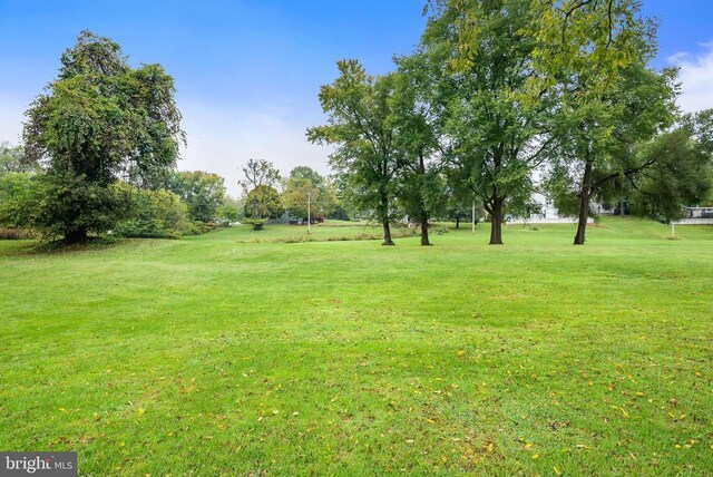 403 Long Ave, Shenandoah, VA 22849 - view of green lawn