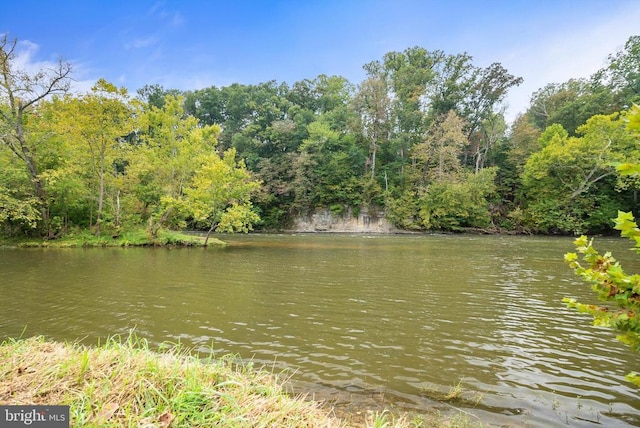 403 Long Ave, Shenandoah, VA 22849 - water view
