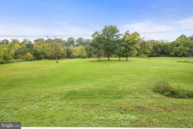 403 Long Ave, Shenandoah, VA 22849 - view of green lawn with view of wooded area