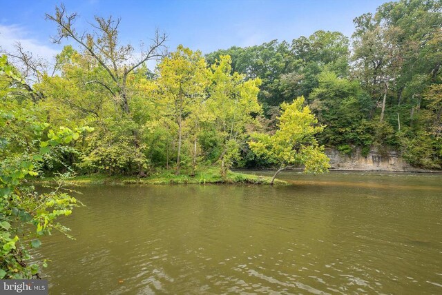 403 Long Ave, Shenandoah, VA 22849 - water view