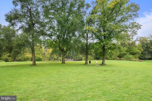 403 Long Ave, Shenandoah, VA 22849 - view of green lawn