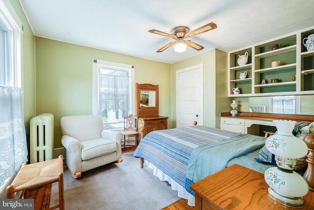 403 Long Ave, Shenandoah, VA 22849 - bedroom featuring radiator and ceiling fan
