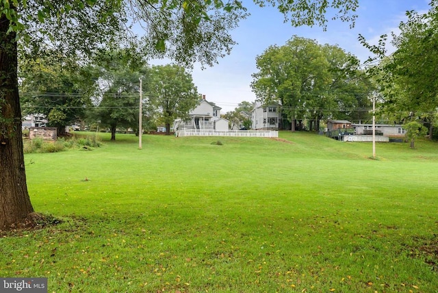 403 Long Ave, Shenandoah, VA 22849 - view of green lawn