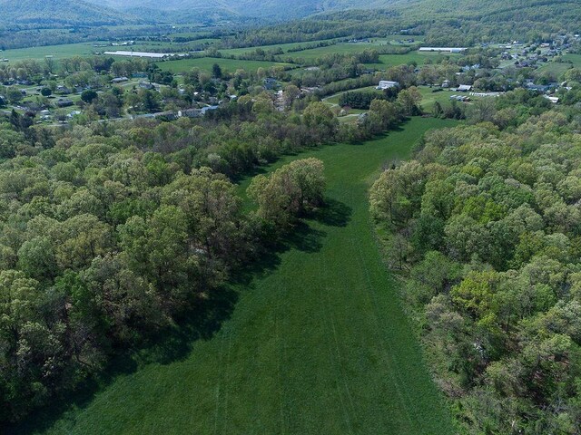 TBD S Bosley Dr S, Stanley, VA 22851 - photo 4