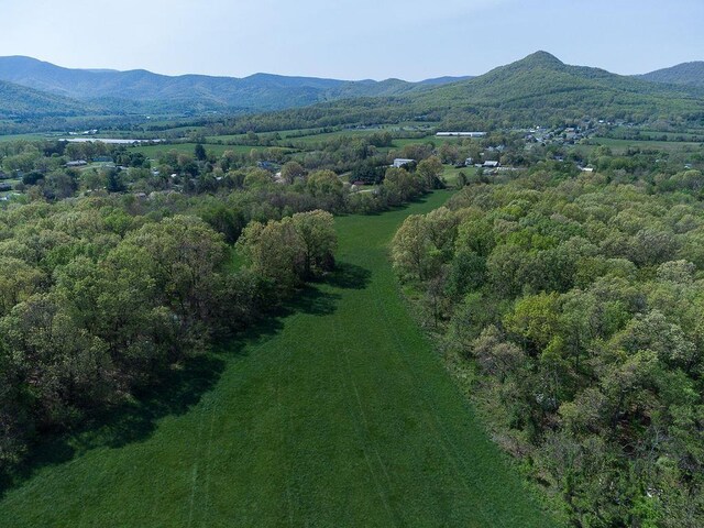 TBD S Bosley Dr S, Stanley, VA 22851 - photo 11