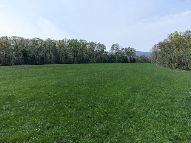 TBD S Bosley Dr S, Stanley, VA 22851 - photo 7