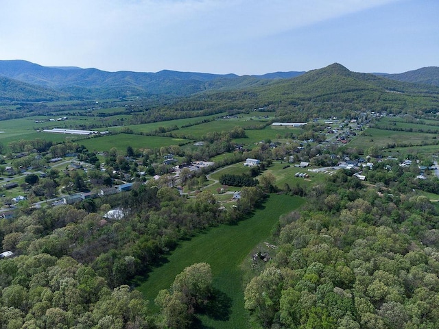 TBD S Bosley Dr S, Stanley, VA 22851 - photo 12