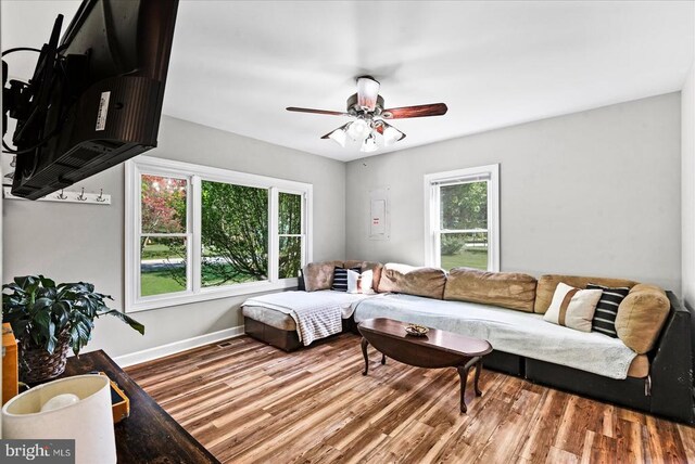 3048 Oakland Rd, Louisa, VA 23093 - living room with wood finished floors, a ceiling fan, and baseboards