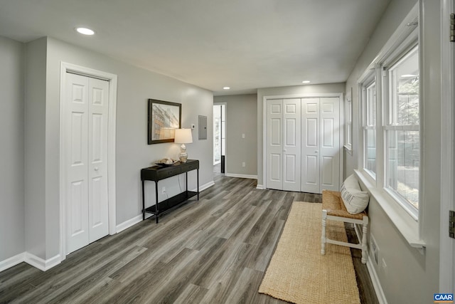 foyer entrance with wood finished floors, recessed lighting, baseboards, and plenty of natural light