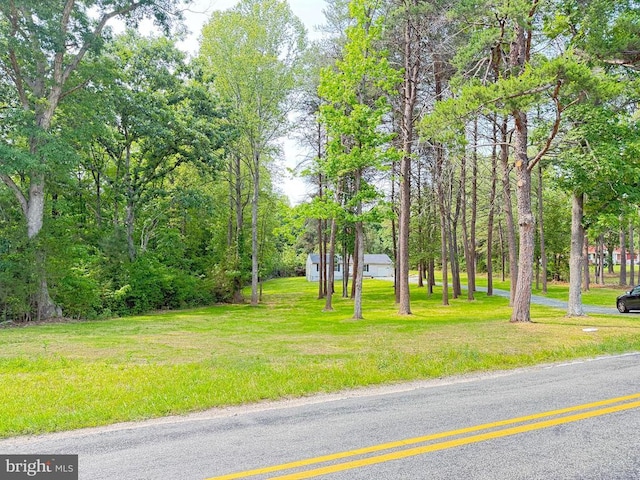 543 Elk Creek Rd, Mineral, VA 23117 - view of green lawn
