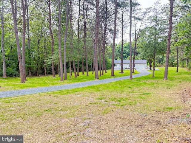543 Elk Creek Rd, Mineral, VA 23117 - view of green lawn