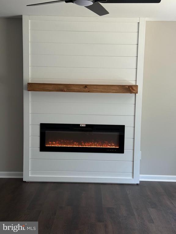 543 Elk Creek Rd, Mineral, VA 23117 - detailed view of a fireplace and wood finished floors