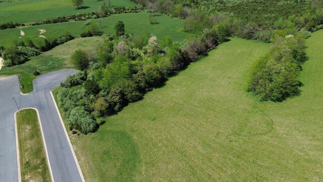 TBD Friendship Dr, Rockingham, VA 22801 - photo 1