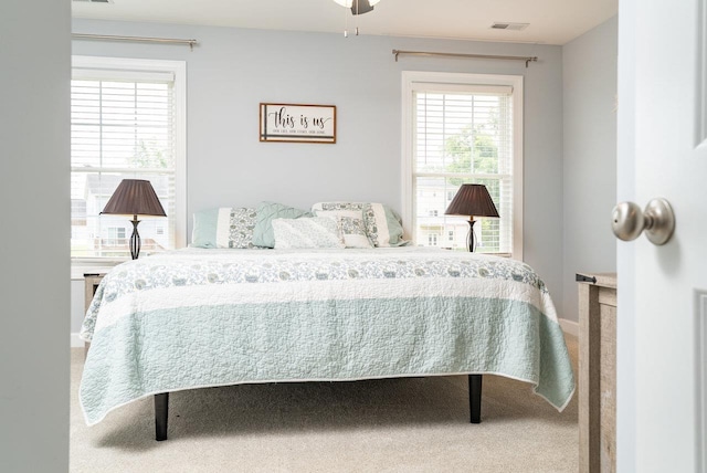 4517 Wiltshire St, Rockingham, VA 22802 - carpeted bedroom featuring multiple windows