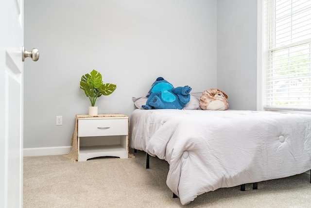 4517 Wiltshire St, Rockingham, VA 22802 - carpeted bedroom with baseboards