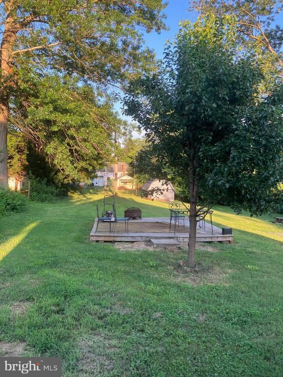 1005 Terrace St, Culpeper, VA 22701 - view of green lawn