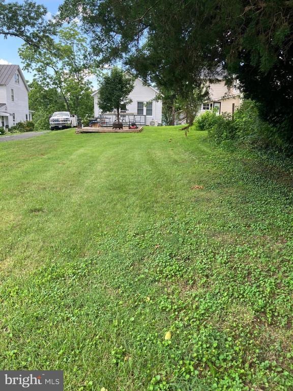 1005 Terrace St, Culpeper, VA 22701 - view of grassy yard