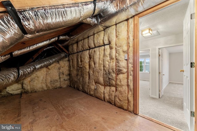 view of unfinished attic