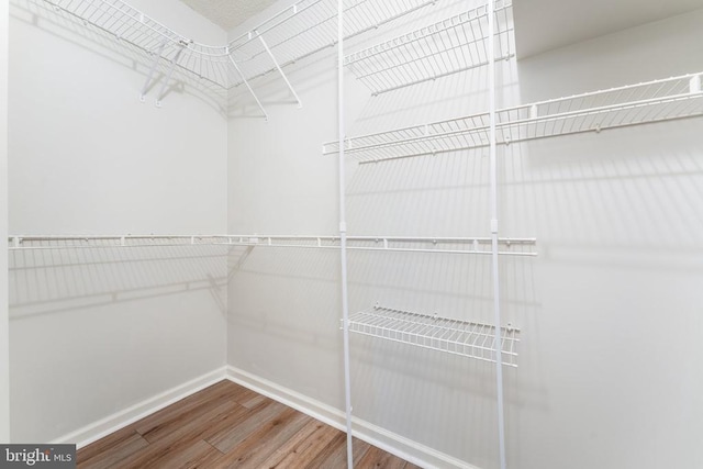 spacious closet with wood finished floors