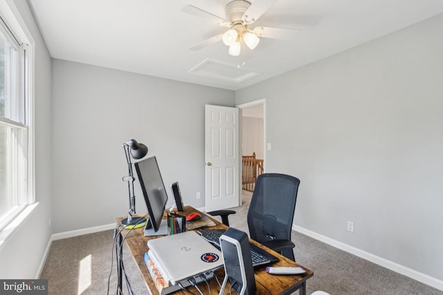 4209 Oakhill Rd, Fredericksburg, VA 22408 - photo 34