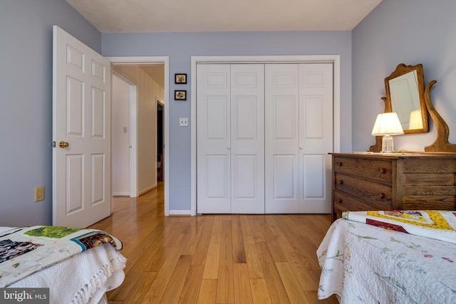 499 Mont View Ln, Luray, VA 22835 - bedroom featuring light wood-type flooring and a closet