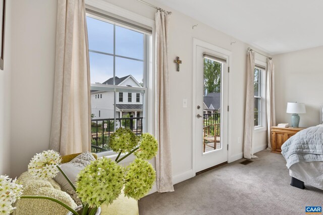 6211 Raynor Pl, Crozet, VA 22932 - bedroom featuring access to outside, carpet floors, multiple windows, and baseboards