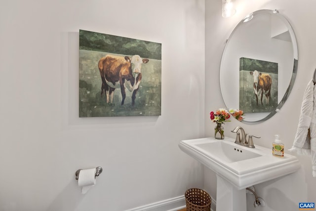 6211 Raynor Pl, Crozet, VA 22932 - bathroom featuring baseboards