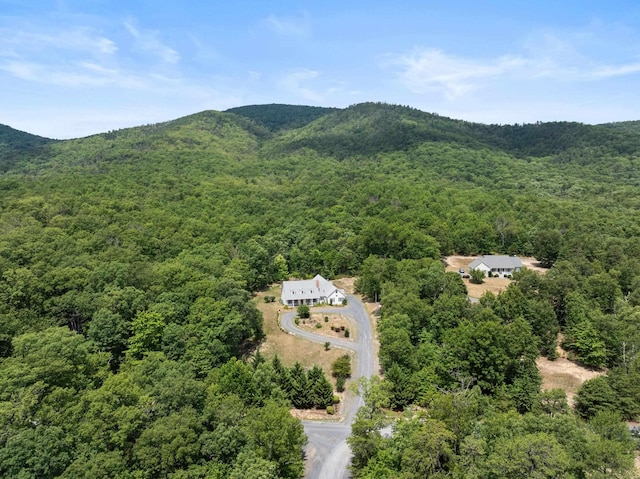 148 Bethany Ln, Fort Valley, VA 22652 - photo 29
