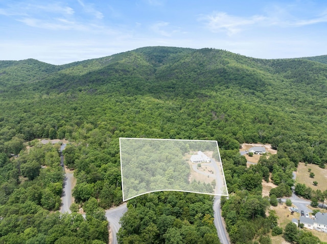 148 Bethany Ln, Fort Valley, VA 22652 - photo 13