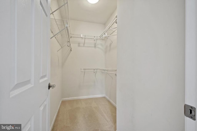 2486 Winthrop Dr, Charlottesville, VA 22911 - spacious closet with carpet flooring