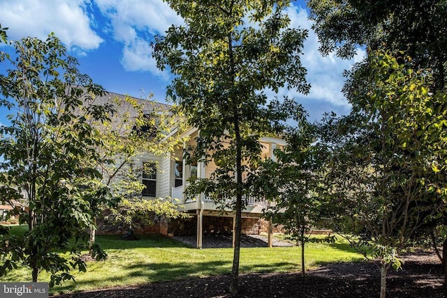 11407 Osprey Trl, Spotsylvania, VA 22551 - view of yard