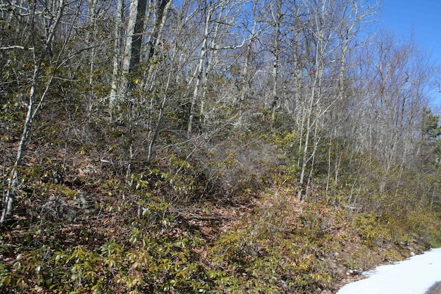 TBD High Valley S, Monterey, VA 24465