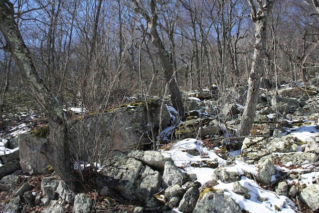 TBD High Valley S, Monterey, VA 24465