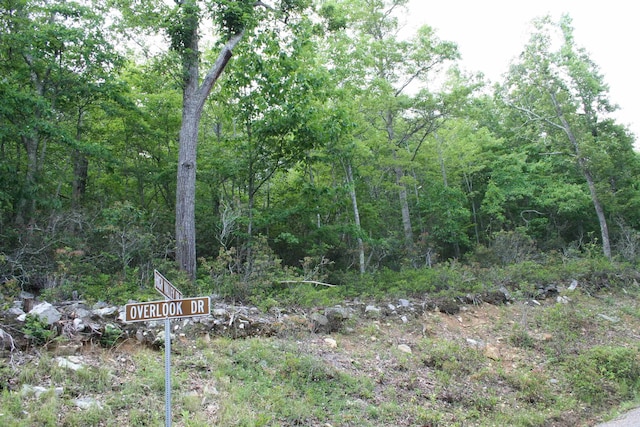 TBD High Valley S, Monterey, VA 24465