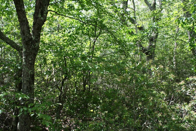 TBD High Valley S, Monterey, VA 24465
