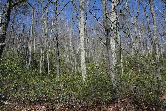 TBD High Valley S, Monterey, VA 24465