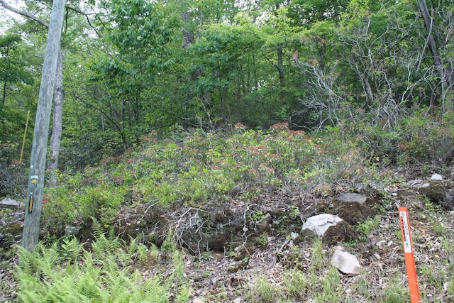 TBD High Valley S, Monterey, VA 24465
