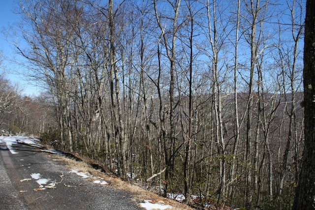 TBD High Valley S, Monterey, VA 24465
