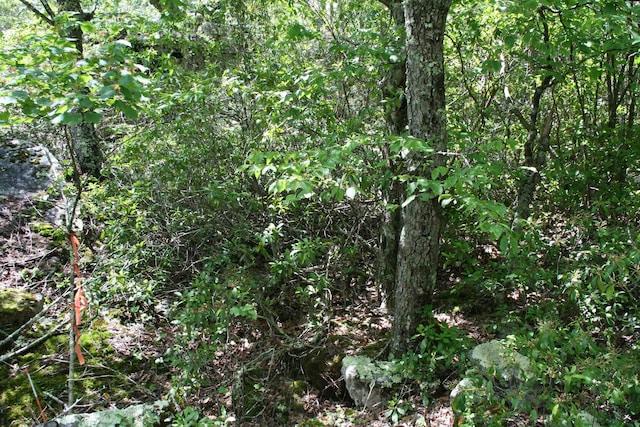 TBD High Valley S, Monterey, VA 24465