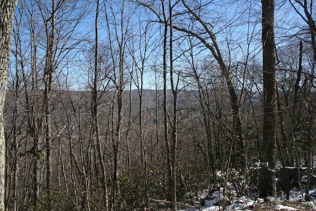 TBD High Valley S, Monterey, VA 24465