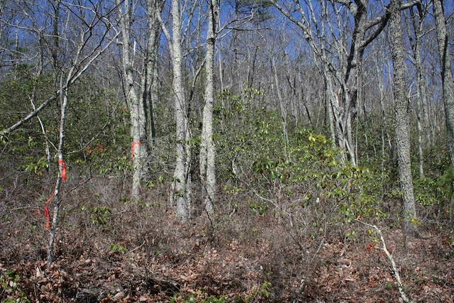 TBD High Valley S, Monterey, VA 24465