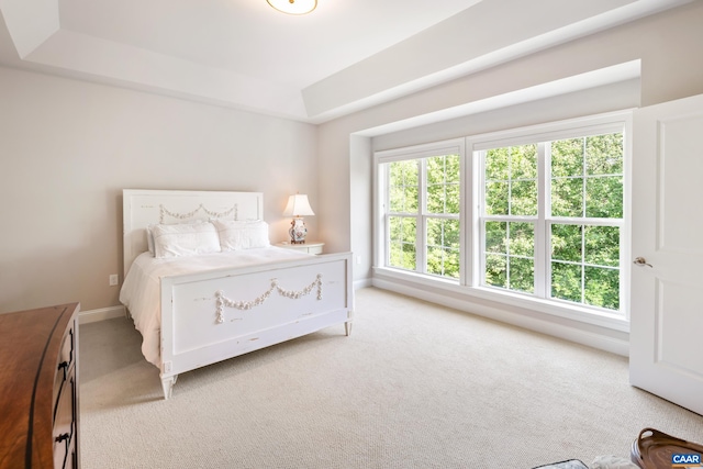312 Avondale Ln, Crozet, VA 22932 - bedroom featuring a tray ceiling and light carpet