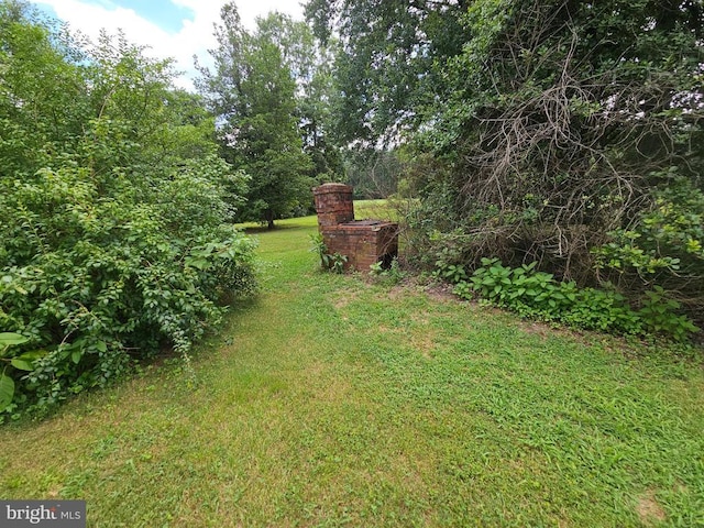  - photo 16