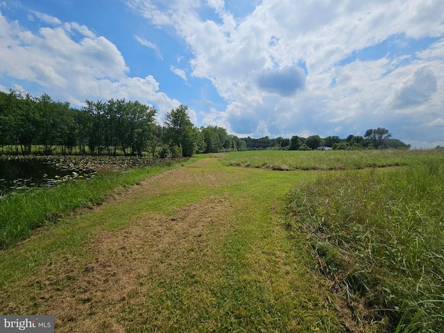  - photo 44