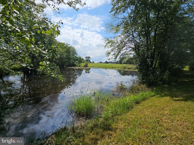  - photo 46