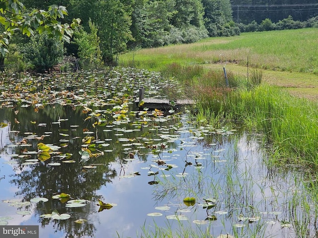  - photo 49
