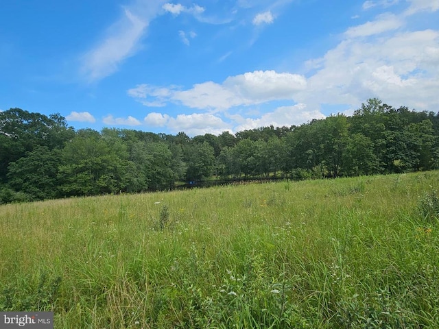  - photo 52