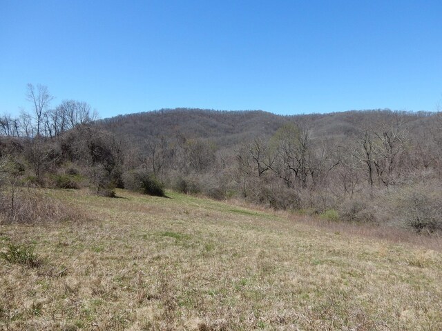 tbd Sam Snead Hwy, Warm Springs, VA 24484 - photo 7