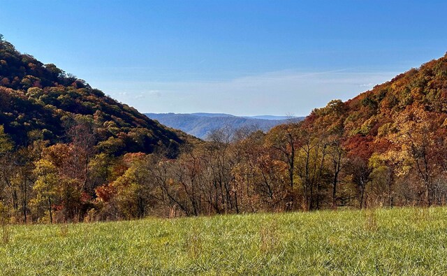 tbd Sam Snead Hwy, Warm Springs, VA 24484 - photo 5