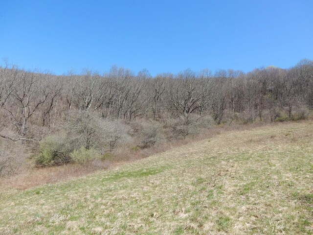 tbd Sam Snead Hwy, Warm Springs, VA 24484 - photo 8